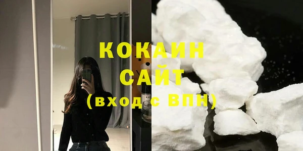 стафф Надым
