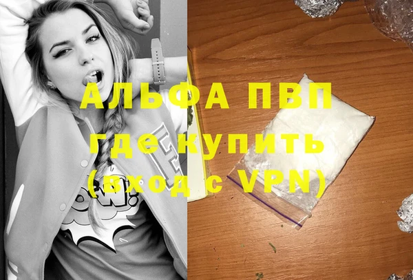 индика Нефтекумск