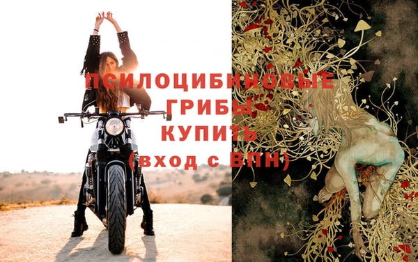 индика Нефтекумск