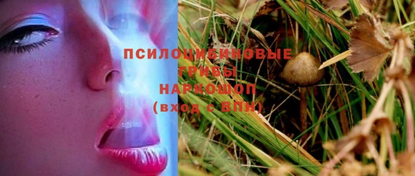 стафф Надым
