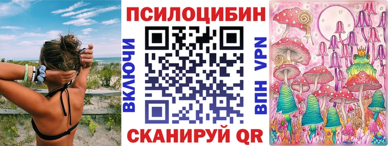 OMG ONION  Энем  Галлюциногенные грибы Psilocybine cubensis  купить закладку 