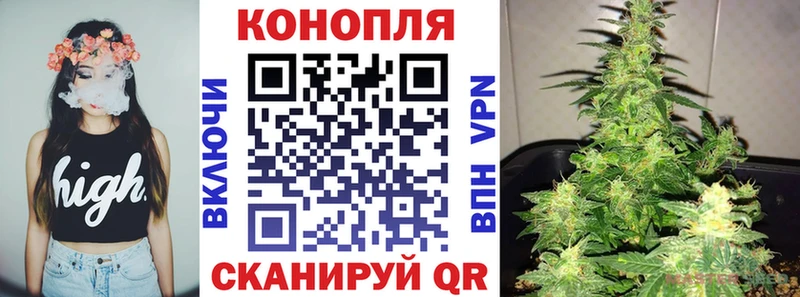 Каннабис сатива  купить наркоту  Энем 